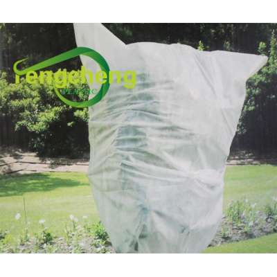 Non-Toxic Agriculture Cover / Fruit Protection Bag / Agriculture PP Spunbonded Non-Woven Fabric Weed Mat